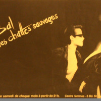 AFF000076.jpg