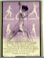 AFF000041.jpg